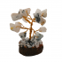 Black Rulite Small Tree (₹170)