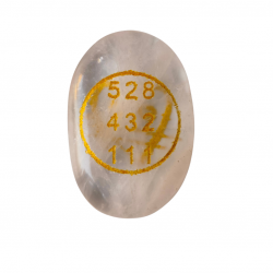 Zibu Lucky Coin (₹240)