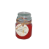 3 Oz Scented Jar Candle Apple Cinnamon (₹170)