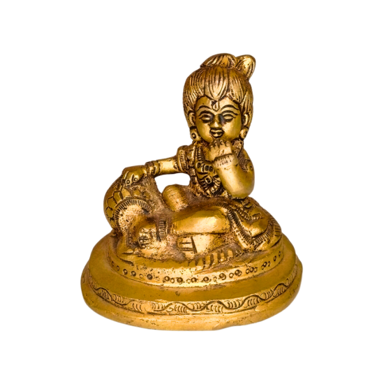 Brass Ladoo Gopal Idol, Height 4 Inch | Laddu Gopal Bala Krishna Murti for Pooja & Home Mandir (₹1450)