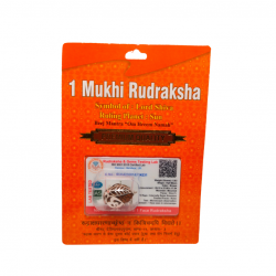 1 Mukhi Certified Rudraksh Bead Locket / One faced / Ek Mukhi Rudraksha Locket with german silver capping (₹1999)
