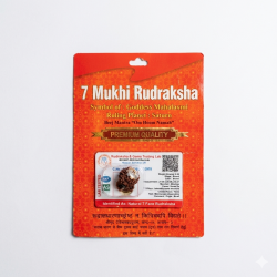 7 Mukhi Certified Rudraksh Nepal Bead / Seven faced / Saat Mukhi original Rudraksha Bead (₹749)