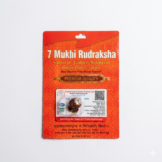 7 Mukhi Certified Rudraksh Nepal Bead / Seven faced / Saat Mukhi original Rudraksha Bead (₹749)