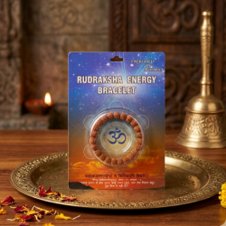 Natural Rudraksha Bracelet (₹550.00)