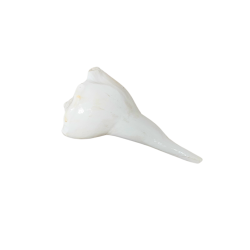 Dakshinavarti / Dakshin Mukhi Shankh / White Conch Shell for Puja, Length 4 inches (₹500)