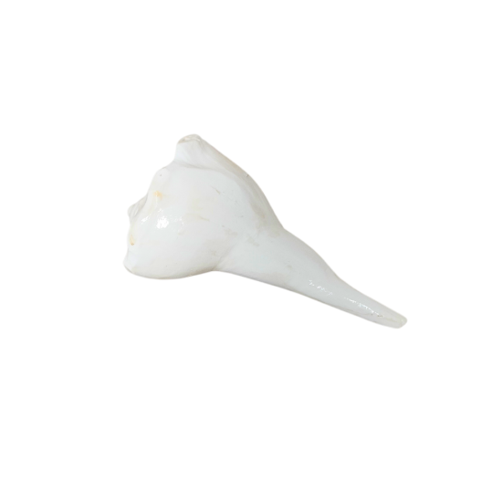 Natural Dakshinavarti Shankh / Right-Hand Conch Shell for Pooja & Teerth Jal, 5 Inch (₹750)