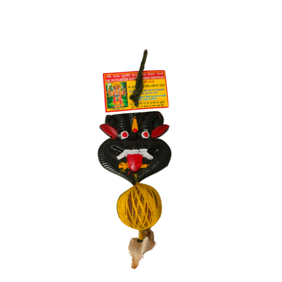 Nazar Battu with Mahakal Face Mask (Plastic) and Panchmukhi Hanuman Picture and Mantra 1 Pc (₹100)