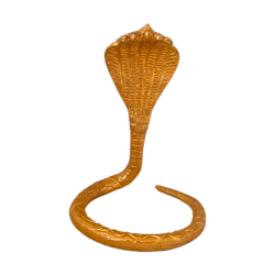 Brass Naag for shivling, height 4 Inches (₹260)