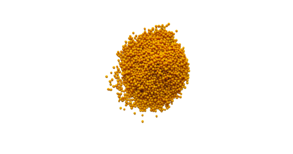 Peeli Rai Peeli Rai or Yellow Mustard Seeds 10gms at ₹10