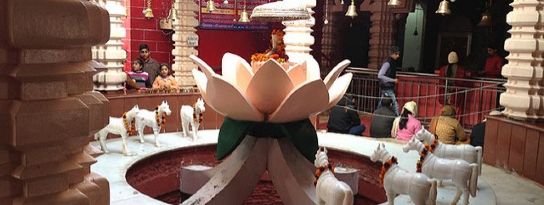 Bhadrakali Temple, Maa Bhadrakali Shaktipeeth
