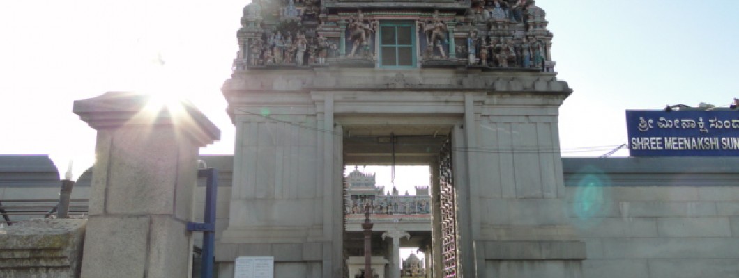 Meenakshi Sundareshwar Temple
