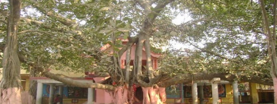 Nandikeshwari Temple, Saithia