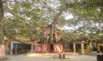Nandikeshwari Temple, Saithia