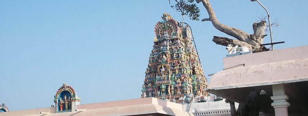 Palani Murugan Temple, Arulmigu Dhandayuthapani Swamy Thirukoil