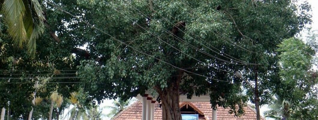 Payammal Shatrughna Swamy Temple