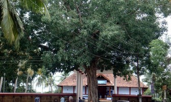Payammal Shatrughna Swamy Temple