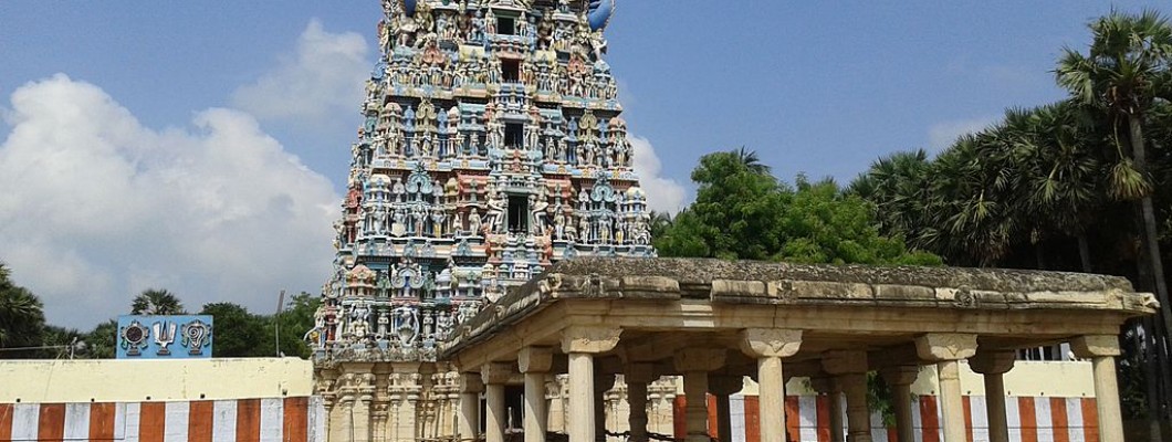 ThiruVaragunamangai Perumal Temple, Arulmigu Vijayssana Perumal Temple,Natham