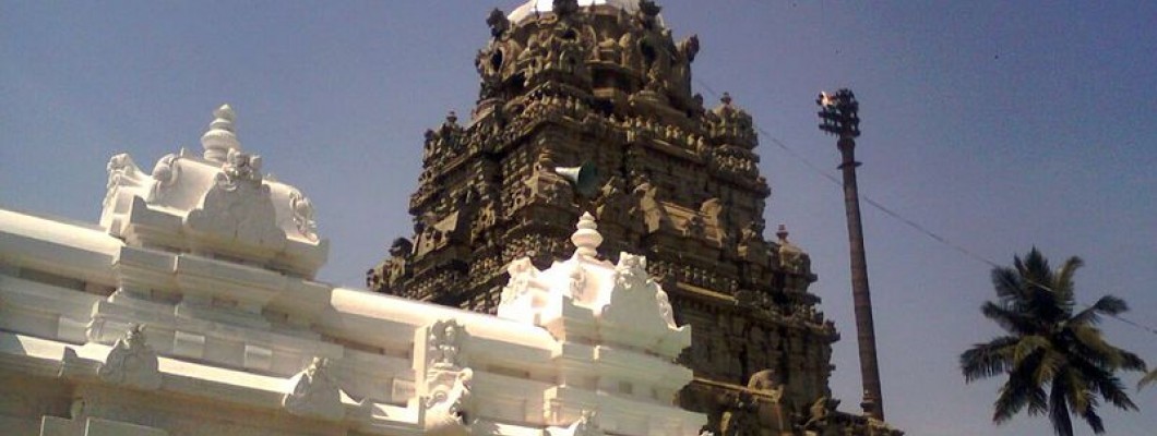 SriKurmam Temple, Sri Kurmanadha Temple