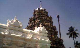 SriKurmam Temple, Sri Kurmanadha Temple