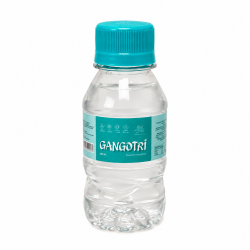Gangotri Purest Ganga Jal 100ml (₹25)