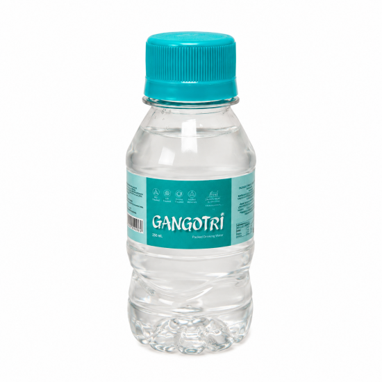 Gangotri Purest Ganga Jal 100ml (₹25)